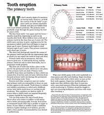 printable baby teeth chart templates arrival loss and eruption