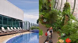 We did not find results for: The World S Best Airport Has A Butterfly Garden And A Rooftop Pool Youtube