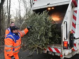 Gelsendienste bietet den gelsenkirchenern wieder eine kostenfreie abholung der ausgedienten weihnachtsbäume an. Der Grune Rest Vom Fest Weihnachtsbaume Werden Ab Montag Abgeholt Frankfurt