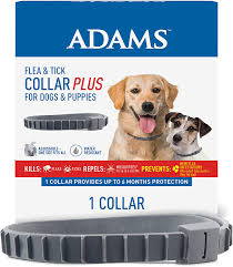 Belgium malinois puppies for sale. Amazon Com Adams Flea Tick Collar For Dogs Puppies 6 Month Protection Repels Mosquitos Adjustable One Size Fits All Pet Supplies