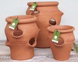 Check spelling or type a new query. Le Pot A Fraisiers Un Mini Jardin Pour Les Espaces Reduits Jardinier Paresseux