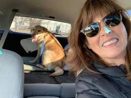 Admin what's up with this plan b post non dog related