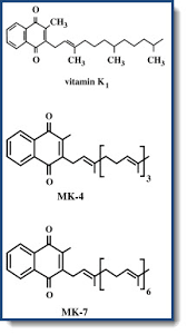The k is derived from the german word koagulation. Vitamine K Veel Meer Essentiele Functies Dan Alleen Bloedstolling Stichting Orthokennis