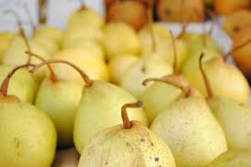 In fresno and tulare counties, 20th century or shinseiki are known to set good. Asian Pears Cuesa