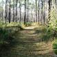 ALPan - Summer Trail Ride