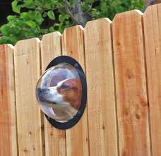 Now, we're not talking about true transparency here—the pool fence would have to be completely clear for that to be the case. Pet Peek A Bubble Window For Your Dog To See Through The Wooden Fence