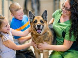 They rescue the majority of their animals from shelters where they are destined to die. Employment Edmonton Humane Society