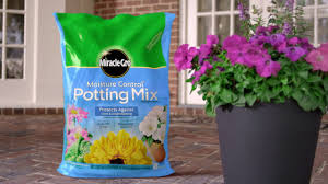 By using a seed starting mix, it is not heavy like potting soil. How To Grow Flowers Twice As Big Using Miracle Gro Garden Soil For Flowers For In Ground Gardening Youtube