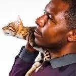 Bengal Cat Generations Explained