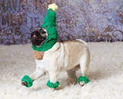 Have A Holly Jolly Herp Derp Honey And The Moonbeam