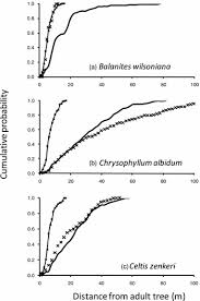 Image result for Celtis zenkeri