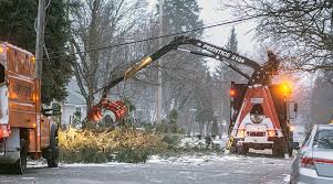 They are defintily on my list of recommendations. Windstorm Wreaks Havoc In County Bonner County Daily Bee