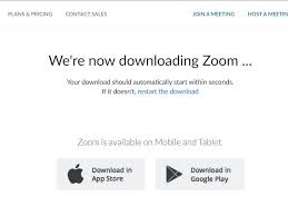 How To Download Zoom On Your Pc For Free In 4 Simple Steps In 2020 Video Conferencing Computer Internet Download