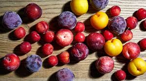 As adjectives the difference between apricot and nectarine Plumcots Apriums And Pluots How To Keep Track Of All Those Hybrid Fruits The Washington Post