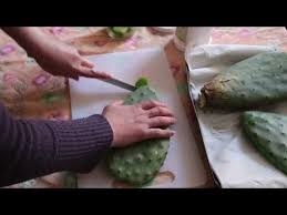 Gelatine e conservare poi le pale. Nopal X2f Pale Di Fico D 39 India In Olio D 39 Oliva Youtube Tisane Fichi Cibo