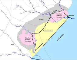 Image result for Tricliceras lanceolatum