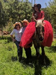 Jose Anselmo Hernandez Obituary