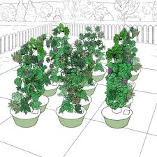 For a vertical garden aeroponics accessories tower growing systems accessorieore home house residential true compare our indoor outdoor why ing may be big mistake you. Shop For A Vertical Garden Aeroponics Accessories Tower Garden