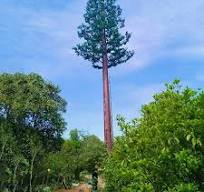 Camouflage Pine Tree Tower Monopole Mobile Towers for Telecommunication  with Related Accessories