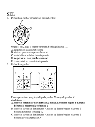 Check spelling or type a new query. Latihan Bio Xi Pat1 Sel