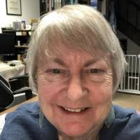 David Rosenfelt's Andy Carpenter Series