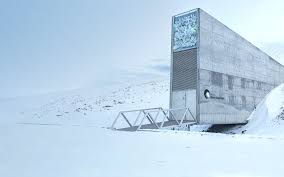 Svalbard Seed Vault Vop Today Seed Bank Global Food Security Seed Storage