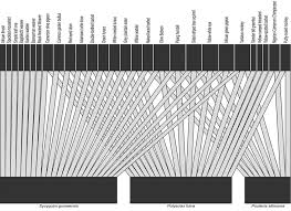 Image result for Pouteria altissima