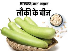 Bottle gourd seeds keep you from looking old | बूढ़ा दिखने से बचाएं लौकी के  बीज: दिल दुरुस्त, हड्डियां मजबूत, ब्लड प्रेशर कंट्रोल, शुगर लेवल बैलेंस,  इम्यूनिटी ...