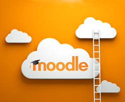 Hasil gambar untuk moodle logo