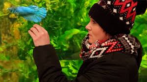 Do the right thing and get your betta fish a heater. Betta Aquarium Temperature Do Bettas Need A Heater Youtube