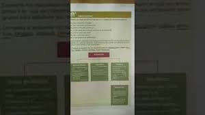 Examen final de sexto grado de primaria contestado montenegro. 6to Grado Respuestas De La Pagina 13 Del Libro De Historia Youtube