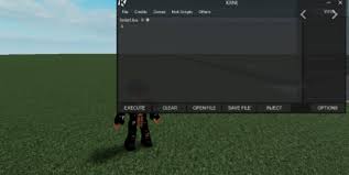 You will then be greeted with a script executor. Krnl Download Krnl For Roblox