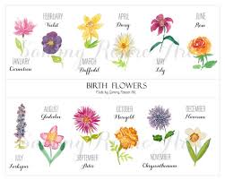 Use our ultimate guide to give a special someone in your life a personalized flower bouquet for their birthday. Watercolor Birth Flowers Digital Download Monthly Flowers Etsy