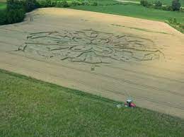 pin su cerchi nel grano