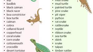 We did not find results for: What Are Reptiles Animals 70 Reptiles Animals Names List English Vocabs