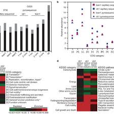 Être aussi mince que possible, sans pour autant avoir un poids insuffisant. Comparison Of Data Sets Obtained From The Caecal Microbiomes Of Obese Download Scientific Diagram
