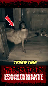 Image result for tbn:o4NVnTyfhfVOdM::tu.tv/imagenes/videos/m/i/miedo-y-escalofrio_imagenGrande.jpg