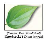 Check spelling or type a new query. Teknik Menggambar Ragam Hias Flora Fauna Geometris Dan Manusia Pintu Belajar Cerdas Pbc