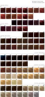 L'oreal preference® / excellence crème®. 52 Hair Dye Swatches Charts Ideas In 2021 Hair Color Hair Hair Color Chart