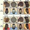 Black Hair Types Men