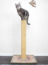 With just a handful of supplies, you can create a simple and effective place for your cat to sharpen its claws. Diy Cat Scratching Post Dream A Little Bigger