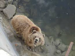 تعليقات حول فندق Africa Safari Park Motel الإسكندرية مصر موتيل Tripadvisor