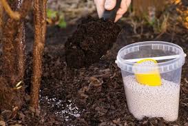 Maybe you would like to learn more about one of these? August Gardening Checklist For The Northeast Garden Design