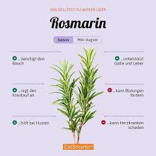Eines Der Beliebtesten Krauter Wozu Gibt Es Bei Dir Meistens Rosmarin Klick Dich Durch Unsere Interaktive Infografik Eatsm Rosmarin Infografik Gut Zu Wissen