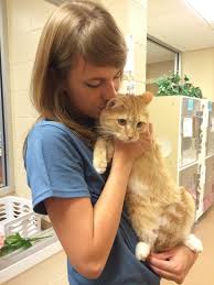 On the street of southwest archer road and street number is 5403. Alachua County Animal Services Changes Policies For Foster Parents Wuft News