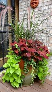Pin On Gardens