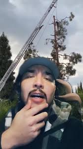 Muchacho cortando un arbol en la Florida y otro en California que perdieron  la vida #treetrimming #guatemala #nelsontut #podadearboles #chapines502🇬🇹  #arboristsoftiktok #mexicanos #Florida #california ...