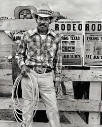 Image result for Pink 1972 Roper