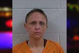 Lakeisha Mann — Polk County Jail Bookings