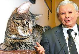 Jarosław kaczyński przyznał w pnś, że jest wyjątkowo. Jaroslaw Kaczynski Fiona To Najdziwniejszy Kot Jakiego Mialem Aportuje Winogrona Jak Pies Super Express Wiadomosci Polityka Sport